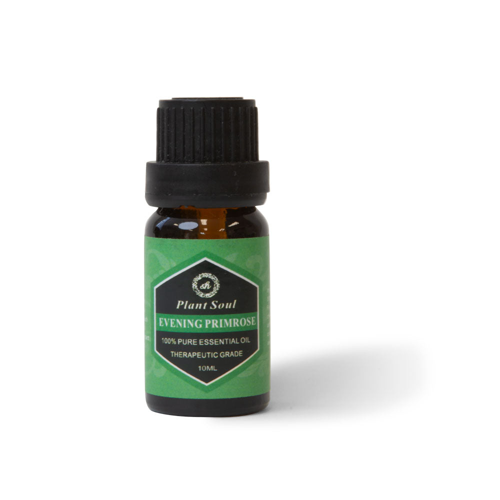 Evening Primrose Essential Oil 10ml - 100% Pure Therapeutic Grade - Aromatherapy